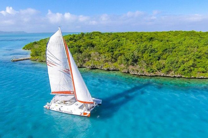 Mauritius Bliss
