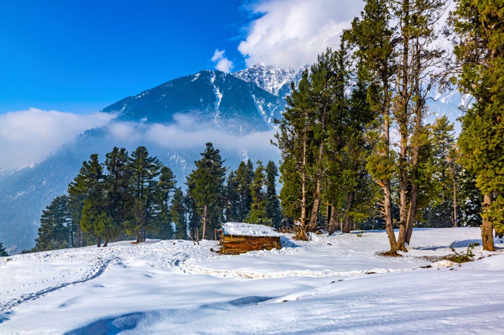 Kashmir & Ladakh Leh